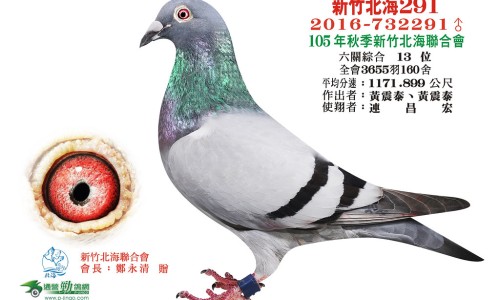木瓜树功效作用与主治-木瓜树根的功效与作用网 :分享木瓜树功效作用与主治-木瓜顺气丸的功效与作用知识